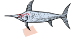 pescer blog